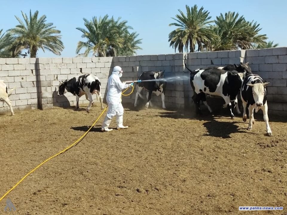 الصحة تسجل حالتي وفاة و16 إصابة جديدة بالحمى النزفية